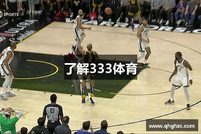 了解333体育